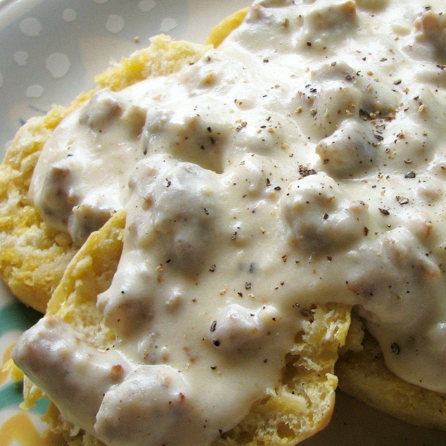 Single Biscuit and Gravy.